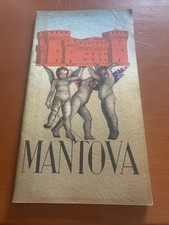 Enit mantova guida usato  Torre Canavese