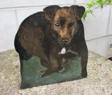 Unusual large staffie for sale  BIRKENHEAD