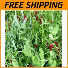 pure plants crop for sale  Egg Harbor Township