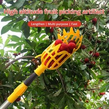 1pc orange fruit for sale  USA