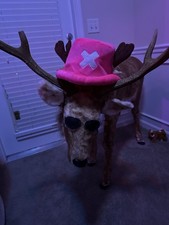 Extremely rare fake for sale  West Des Moines