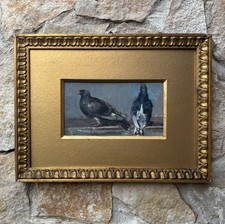 Quadro piccioni giuseppe usato  Calvizzano