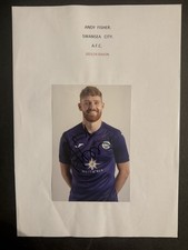 Andy fisher. swansea for sale  CARDIFF