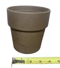 Standard small brown for sale  Clarksville
