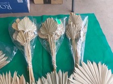 50pc lot dried for sale  Phoenix