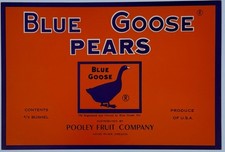 Vintage 1960s blue for sale  Blaine