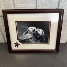 Sea otter secrets for sale  Okatie