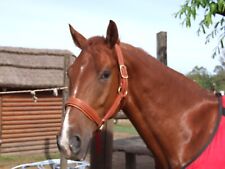 Licol cheval cuir d'occasion  Le Poiré-sur-Vie