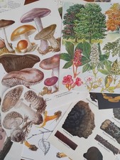 Mixed Media Art & Collage Art for sale  BIRKENHEAD
