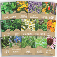 Organic herbal tea for sale  Denver