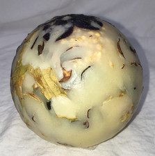 Habersham candle company for sale  Olanta