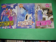 City hunter mensile usato  Settimo Torinese