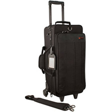 Pro tec ip301dwl usato  Roccagloriosa