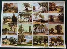 Planche pédagogie arbres d'occasion  Saint-Léger-sur-Dheune