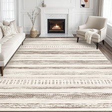 Area rug living for sale  Brentwood