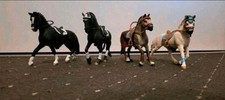 Schleich pferde zubehör gebraucht kaufen  Wiesmoor