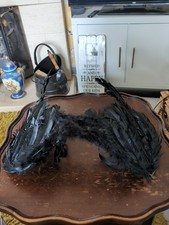 Black feather fancy for sale  PETERBOROUGH