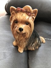 Yorkshire terrier glazed for sale  LUTON