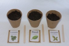 Herb garden growing for sale  BUXTON