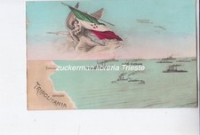 Cartolina tripolitania aoi usato  Italia