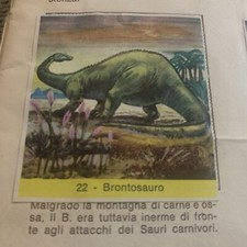 Figurina regno animale usato  Firenze