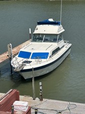Chris craft catalina for sale  Hammond
