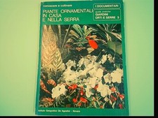 Piante ornamentali casa usato Piante ornamentali casa usato  Comiso
