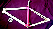 Mountainbike rahmen telekom gebraucht kaufen  Chemnitz