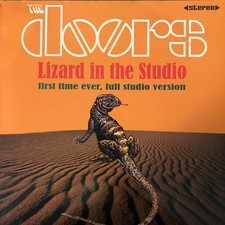 Doors lizard the d'occasion Doors lizard the d'occasion  France