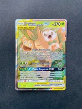 Carte pokémon brindibou d'occasion  Montbrison