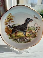 Gordon setter dog for sale  GRIMSBY