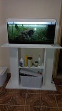 Acquario sicce usato usato  Zandobbio