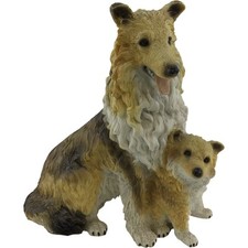Rough collie dog for sale  UK