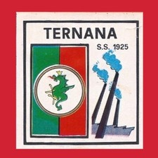 Scudetto serie calciatori usato  Perugia