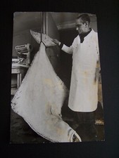 1975 photograph big for sale  SWANSEA