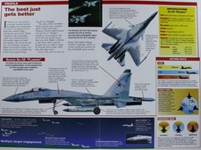 Sukhoi flanker plane for sale  Lone Wolf