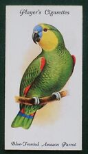 Aviary cage birds for sale  PORTSMOUTH