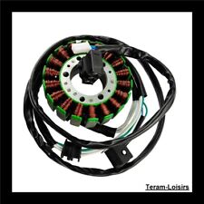 Stator allumage alternateur d'occasion  Rouen-