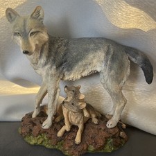1998 wolf pups for sale  Spring Valley
