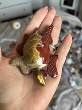 Mookaite turtle for sale  MEXBOROUGH