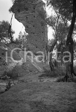 1947 sirmione rovine usato  Milano