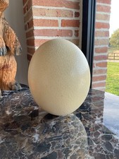 Oeuf autruche vintage d'occasion  Grenade