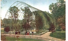 Gaiola voadora Nova York Parque Zoológico 1910 Nova York  comprar usado  Enviando para Brazil