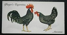 Cartão ilustrado ANCONA galinhas italianas vintage 1931 EE14M comprar usado  Enviando para Brazil