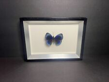 Black framed displayed for sale  Warren