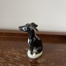 Whippet greyhound small for sale  GLOUCESTER