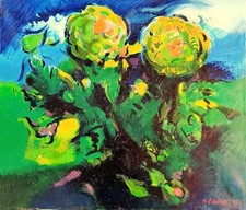 Pavan adriano olio usato  San Dona di Piave