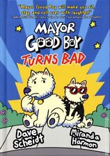 Mayor good boy for sale  Arlington