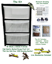 Mealworm breeding kit for sale  NEWPORT PAGNELL