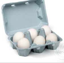 Call duck eggs for sale  TELFORD